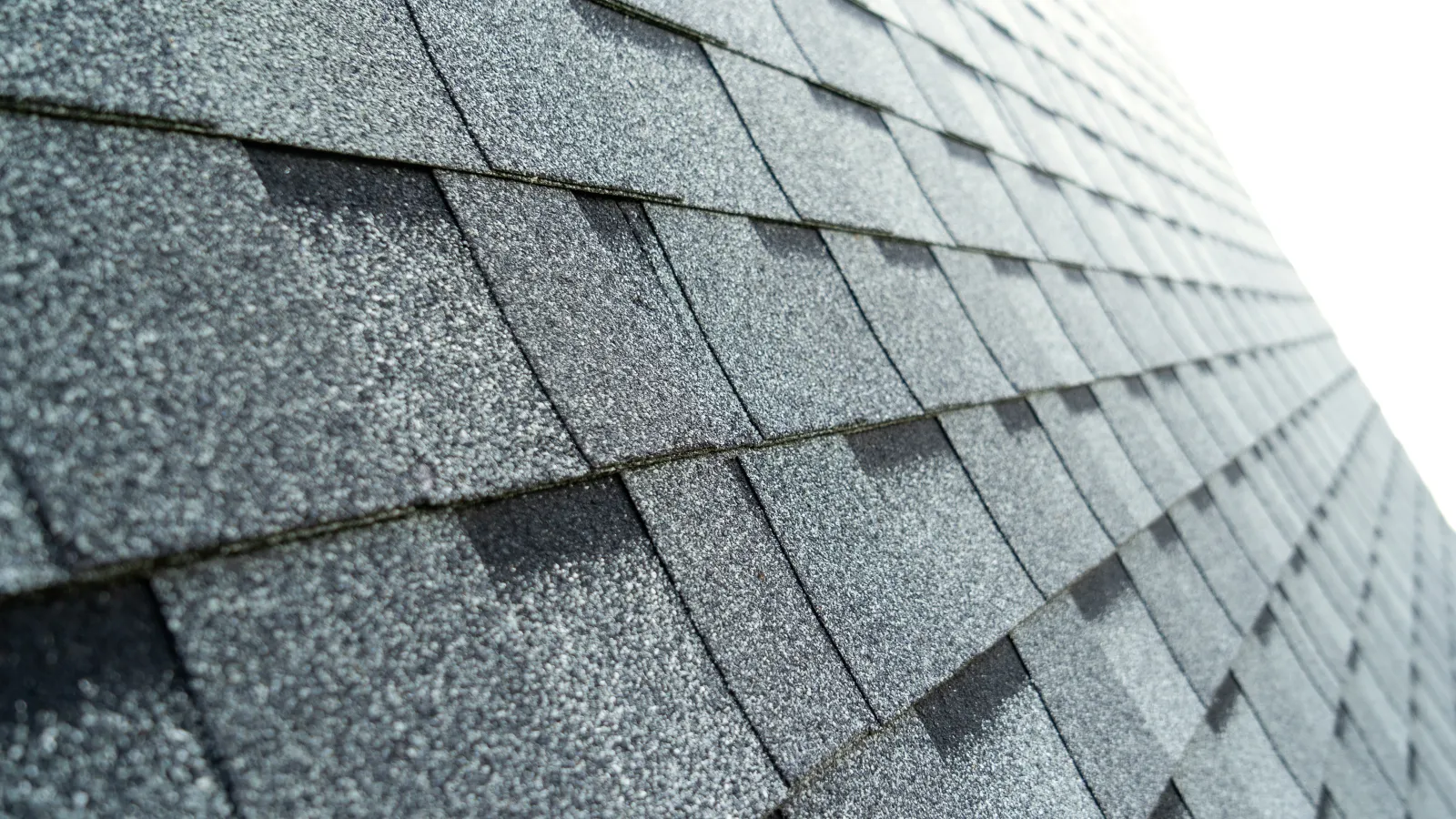 Shingle-Roofing-img