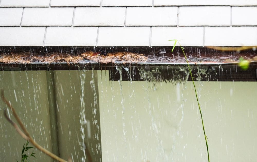 clogged gutter common cause of roof leaks