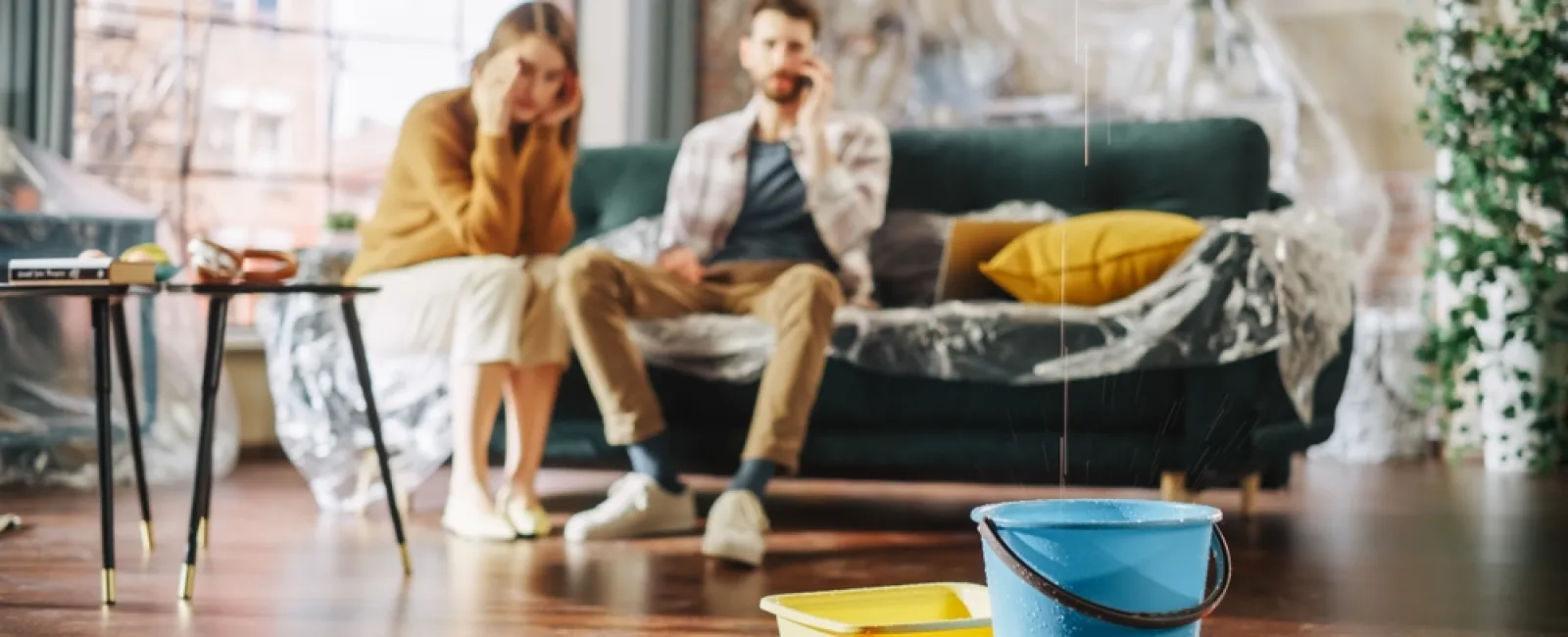 Everything You Need to Know About Roof Leaks: Causes, Prevention & Repair