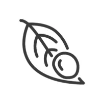 Fallen Debris Damage icon