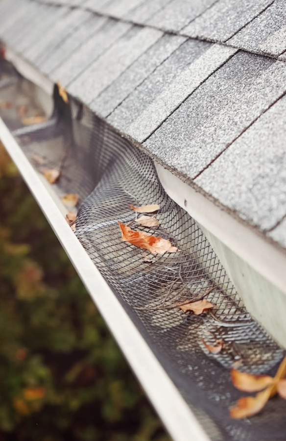 Gutter Services image