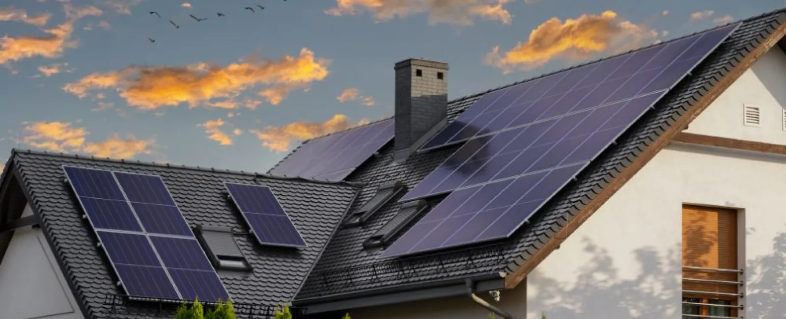 How Much Money Do Solar Panels Save?