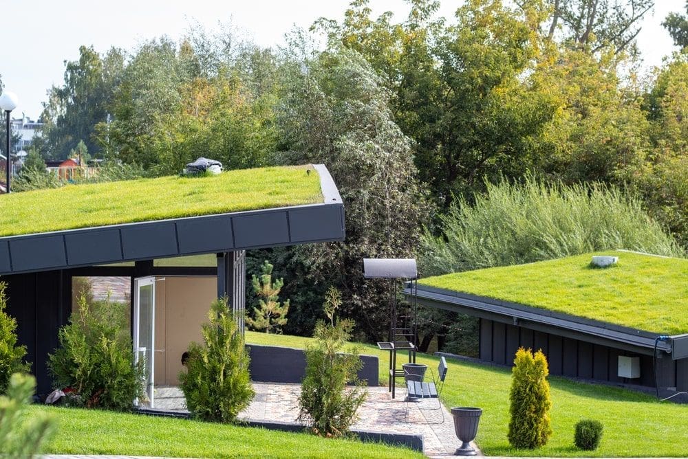 green roof
