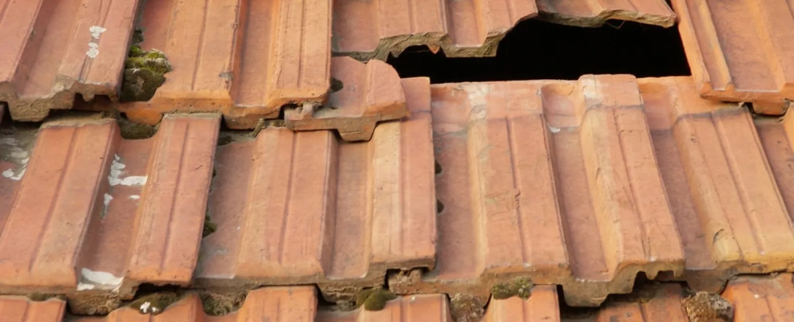 Most Common Causes of Roof Leaks