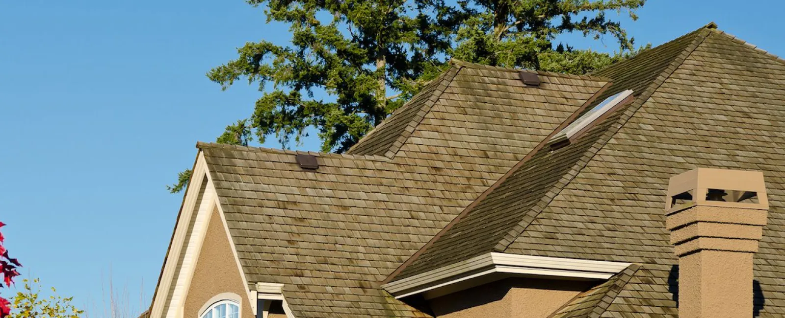 Potential Damage from Hanging Tree Branches