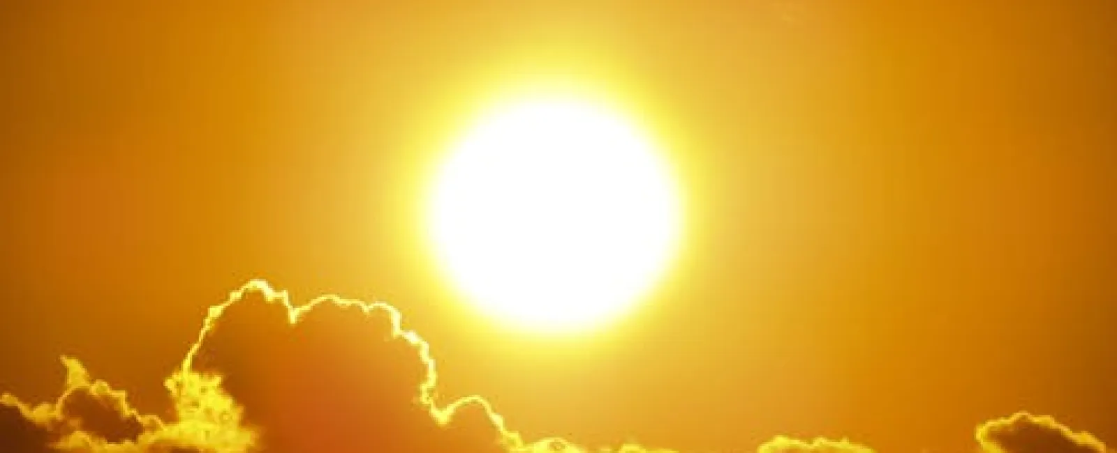 Summer and Your Roof