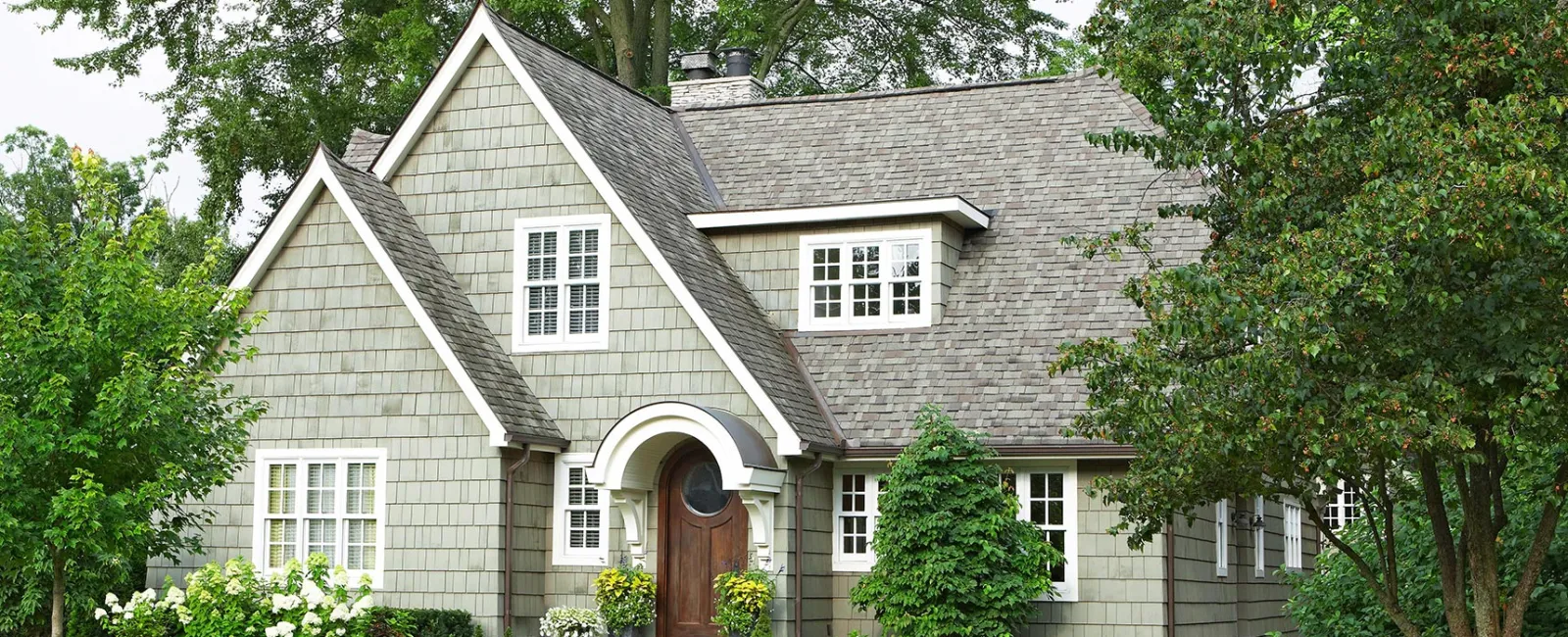 Tree Damage and Prevention