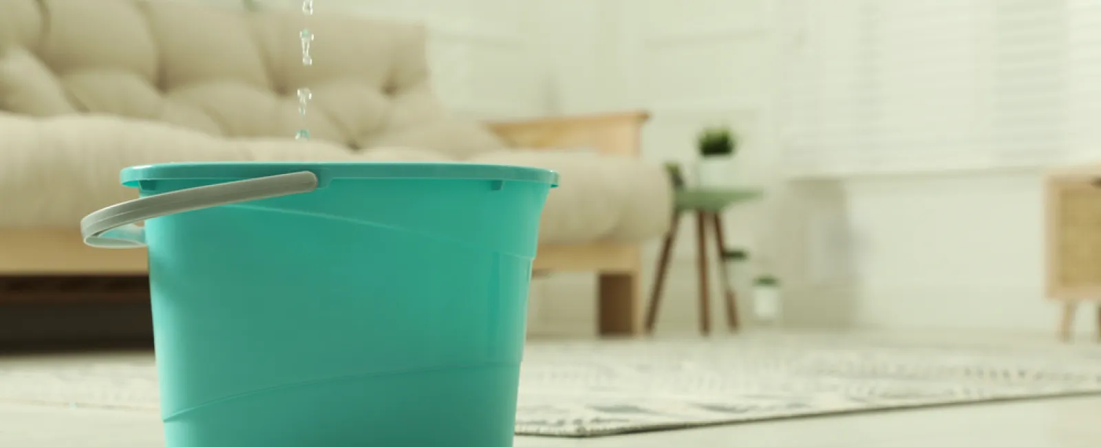 What Should I Do If My Roof Is Leaking?